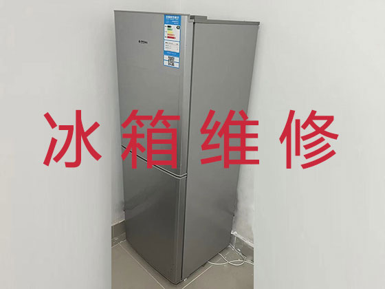 肇庆专业冰箱安装